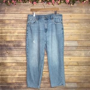 American Eagle Outfitters 90s Boyfriend Jeans